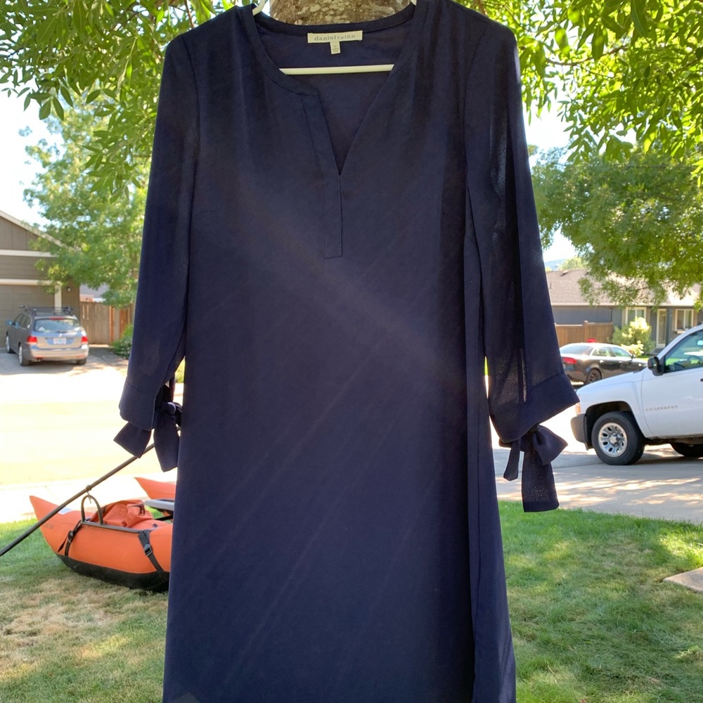 Daniel Rainn Chiffon Dress